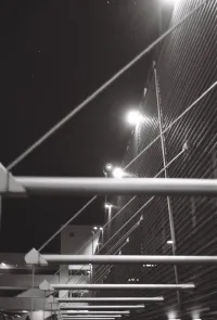 Night Lights