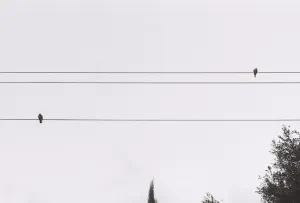 09jpeg