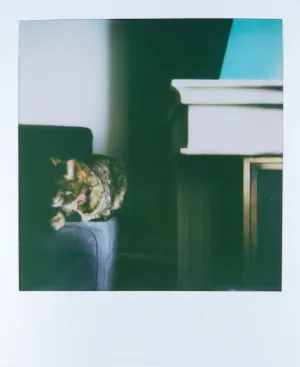 01jpeg